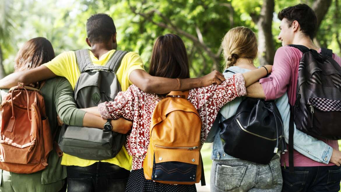 MSc Telecommunications Management